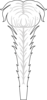 White Feather Clip Art